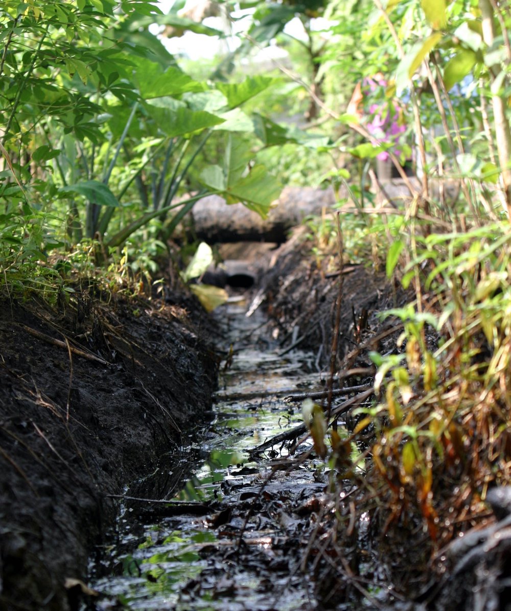 Un petit ruisseau étroit, souillé par de l'huile, entouré de verdure. À l'arrière-plan, des tuyaux rouillés qui enjambent le ruisseau.