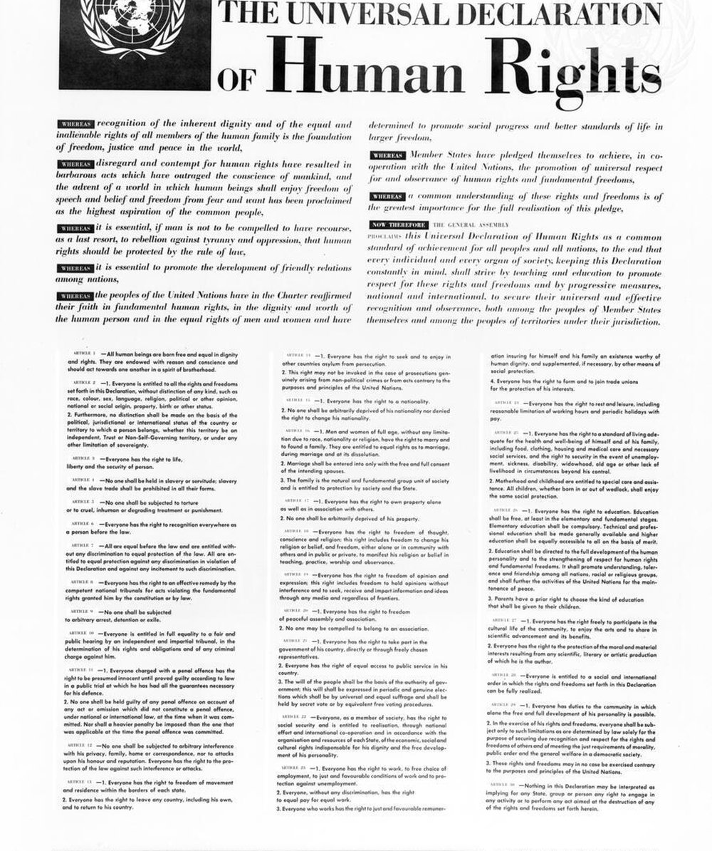 Immagine di una copia stampata della Dichiarazione universale dei diritti umani. © UN Photo