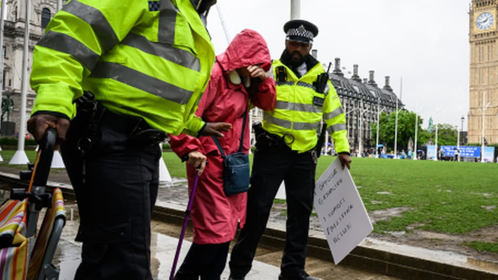 Verhaftung einer Protestierenden in London