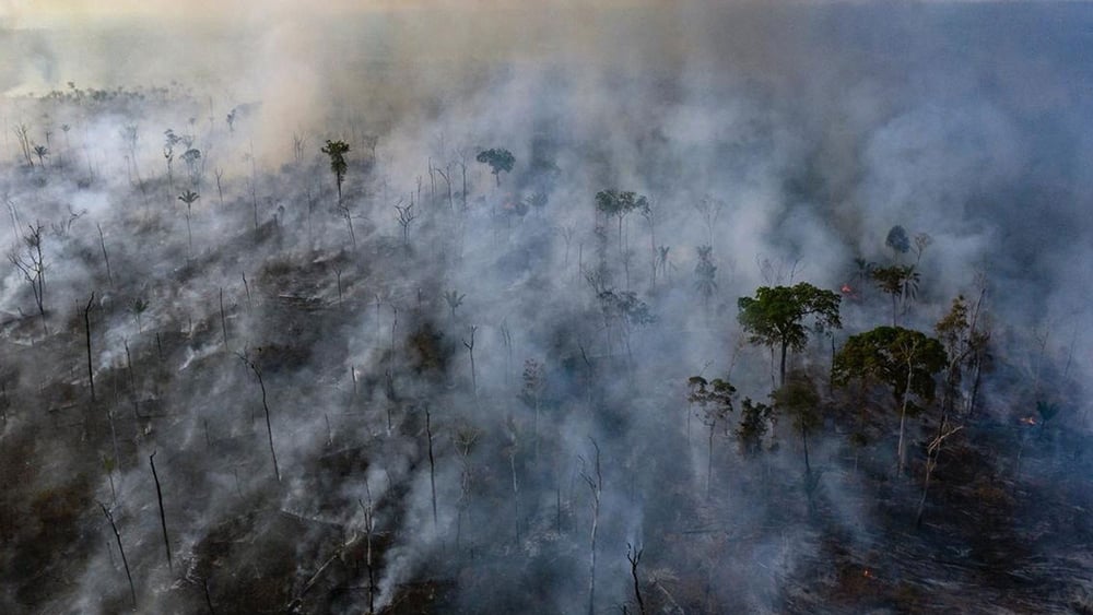 Luftaufnahmen von Amnesty International vom 23. August 2019: Waldbrand in einem indigenen Gebiet im Bundesstaat Mato Grosso. © Amnesty International