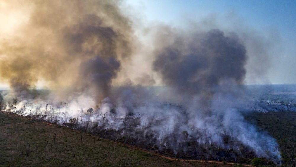 Dronenaufnahme von Bränden im Amazonas  © Anthony Cole / Amnesty International