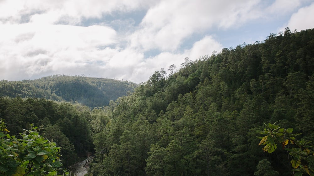 Symbolbild. Das ursprüngliche Bild wurde aus Urheberrechtsgründen ersetzt. © Amnesty International