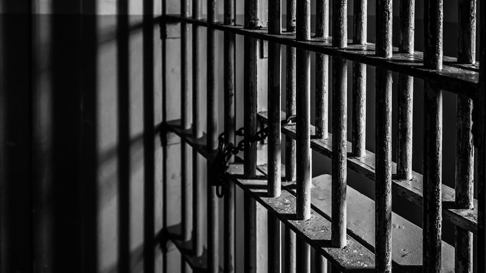 © Dan Henson - Shutterstock