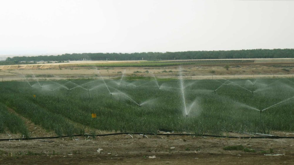 Ungleiche Verteilung: Für die Bewässerungsanlagen israelischer Siedlungen hat es immer genug Wasser. © Amnesty International