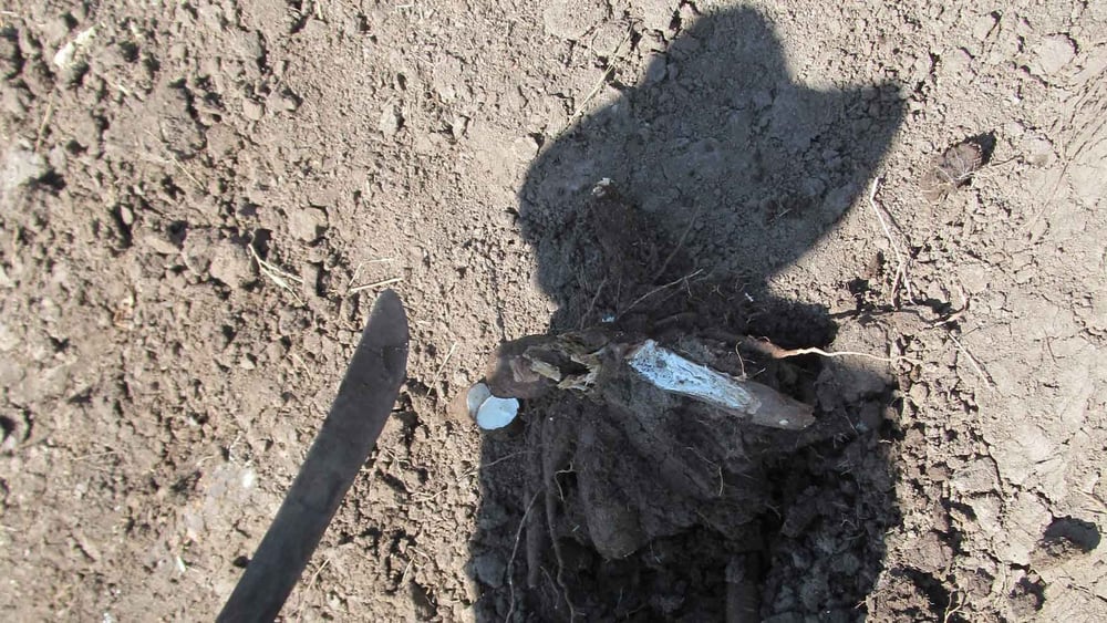 Schatten eines Bauern, der aus El Tamarindo vertrieben wurde, Dezember 2013 © Amnesty International