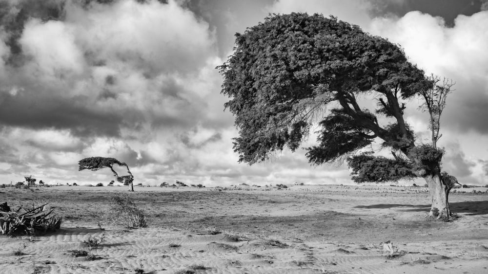 Aufgrund einer lang anhaltenden Dürreperiode stehen eine Million Menschen in Madagaskar vor der Hungersnot. © Pierrot Men/Amnesty International