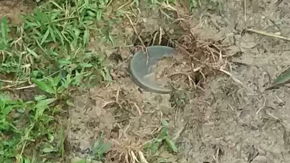 Gut versteckt: Eine verbotene Antipersonenmine © Amnesty International