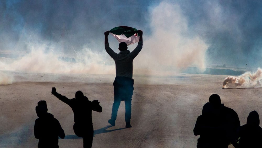 Mit der algerischen Flagge stellt sich ein Protestant der Polizei entgegen, bei einer Demonstration gegen den Präsidenten am 29. März 2019. @ BkhStudio/shutterstock.com