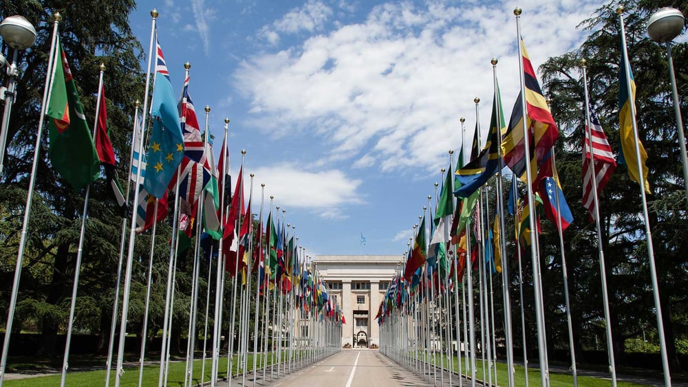 ©  Tom Page / wikicommons