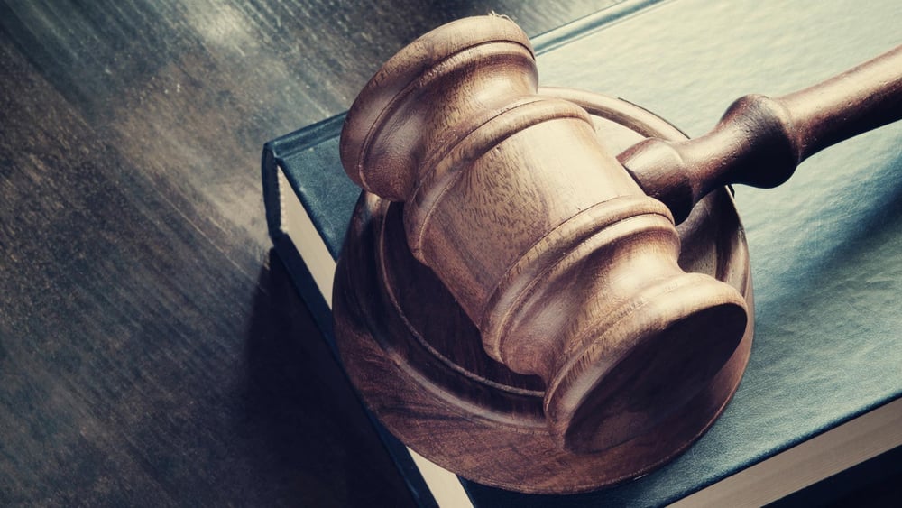 © Evlakhov Valeriy / Shutterstock.com