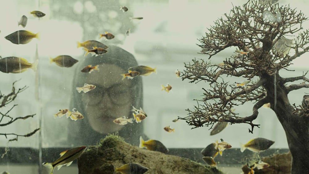 © paradisethefilm.com