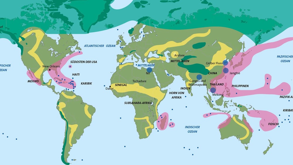 © muellerluetolf.ch, Quellen: Norman Myers, «Environmental refugees. An emergent security issue». Akten des Wirtschaftsforums der OSZE, Prag, Mai 2005. Millennium Ecosystem Assessment; 2005; Liser, 2007. Zit. in.: Le Monde diplomatique (Hg.), Atlas der Globalisierung Spezial: Klima, Berlin (taz Verlag) 2008