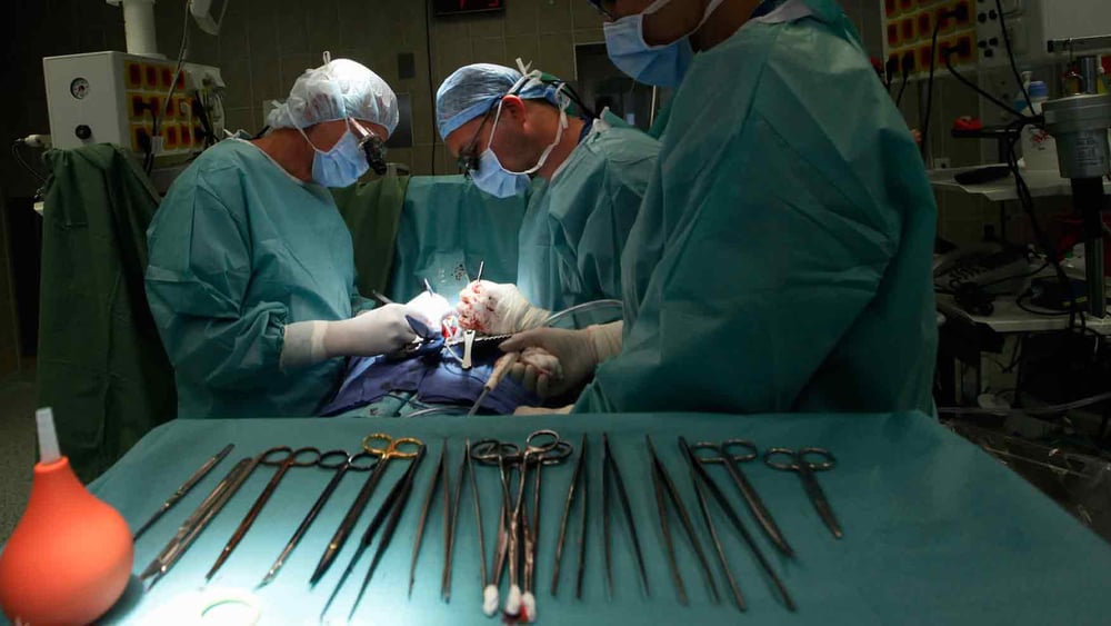 © Petr Josek / Reuters