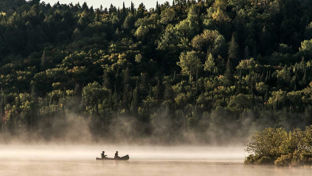 © phwmhu / shutterstock.com