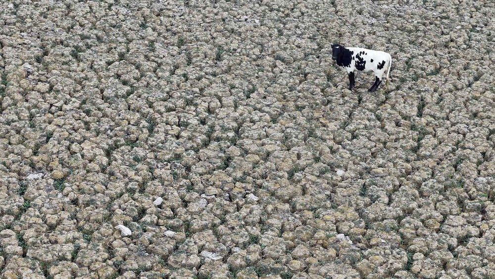 Dieser Boden müsste eigentlich unter Wasser stehen: Die Aculeo-Lagune in Paine, Chile, am 9. Januar 2019. © Reuters/Rodrigo Garrido