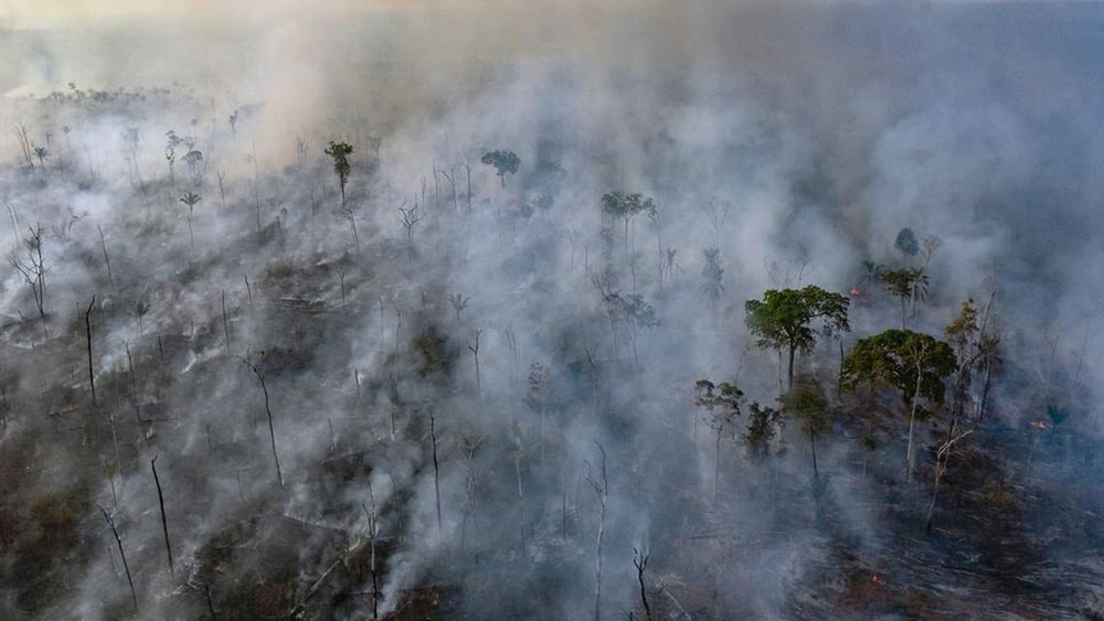 Waldbrand in einem indigenen Gebiet im Bundesstaat Mato Grosso in Brasiliens Amazonasgebiet, 23. August 2019: Für die illegale Viehzucht wird oft Brandrodung eingesetzt. © Marizilda Cruppe/Amnesty International