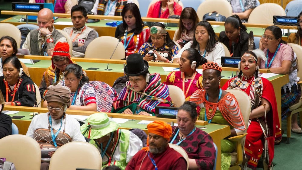 Seit 2002 findet jährlich ein ständiges Uno-Forum zu indigenen Fragen statt. © Rick Bajornas / UN Photo