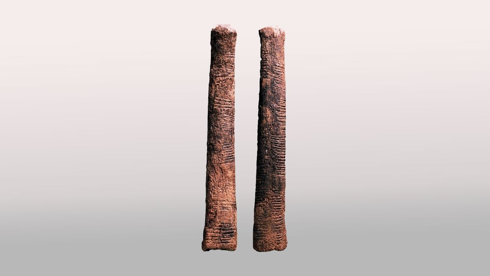 Eventuell das älteste Recheninstrument der Welt: Ishango-Knochen aus dem Kongo, derzeit im Royal Belgian Institute of Natural Sciences. © agefotostock/Imago