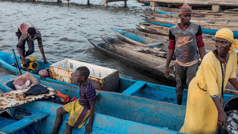 Versalzung und Grundwasserverseuchung durch den Zirkonabbau bedrohen die Lebensgrundlagen der Fischer*innen. © Muhamadou Bittaye / afp / Keystone