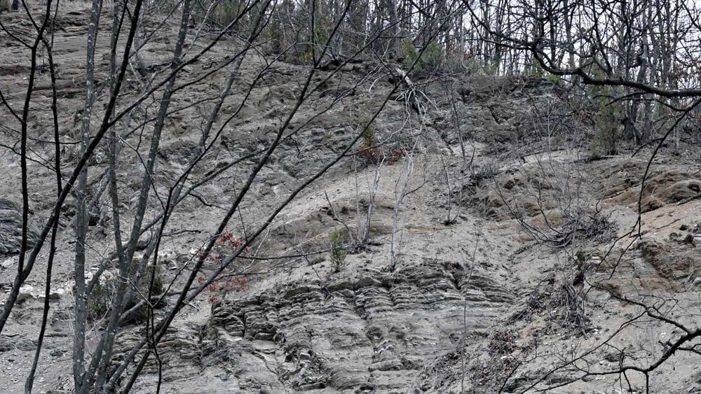In diesem felsigen Hang in der Nähe der Stadt Lopare gibt es das begehrte Lithium-Erz.  © Sead Husic