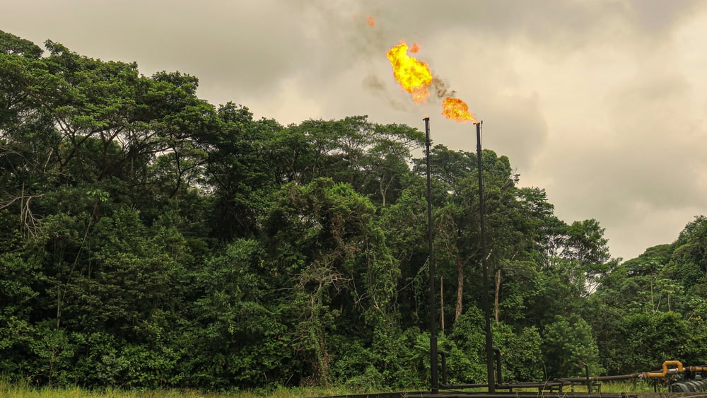 Zwei Rohre im Urwald, aus denen Gas abgefackelt wird.