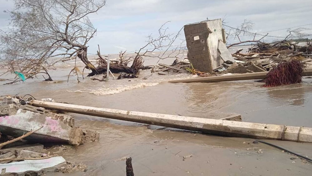 © Communidad El Bosque