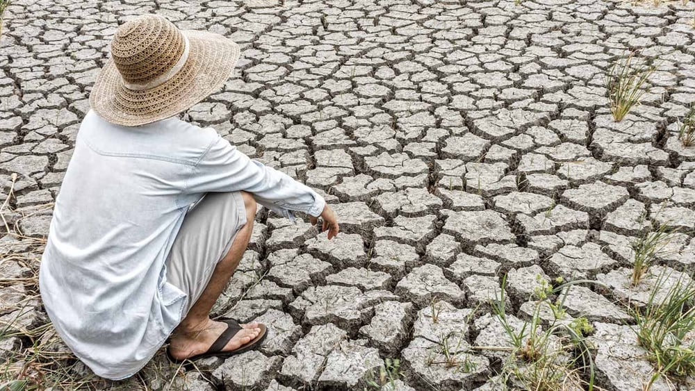 ©  JoeyPhoto  / shutterstock.com