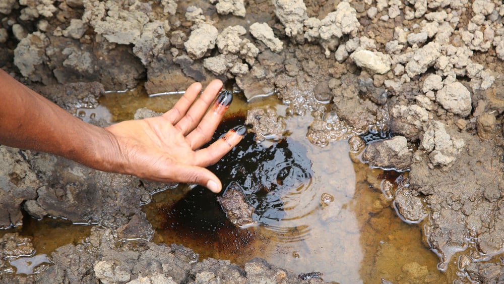 Der Boden beim Bomu Manifold, einer Shell-Einrichtung in Kegbara Dere im Rivers State, Nigeria, ist auch Jahre nach der Ölpest noch kontaminiert. © Amnesty International