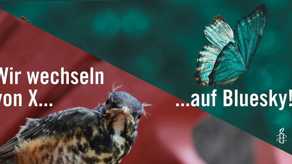 © Amnesty International