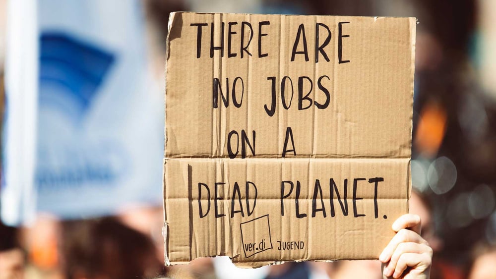 © Markus Spiske / unsplash