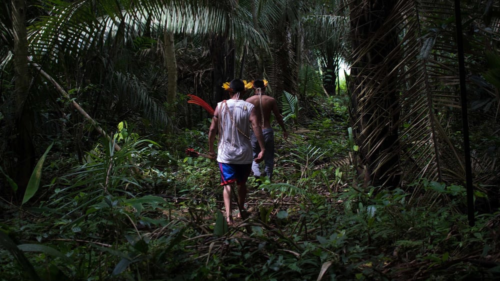 Les populations indigènes du Brésil craignent pour leur vie depuis l'élection de Jair Bolsonaro.©Gabriel Uchida