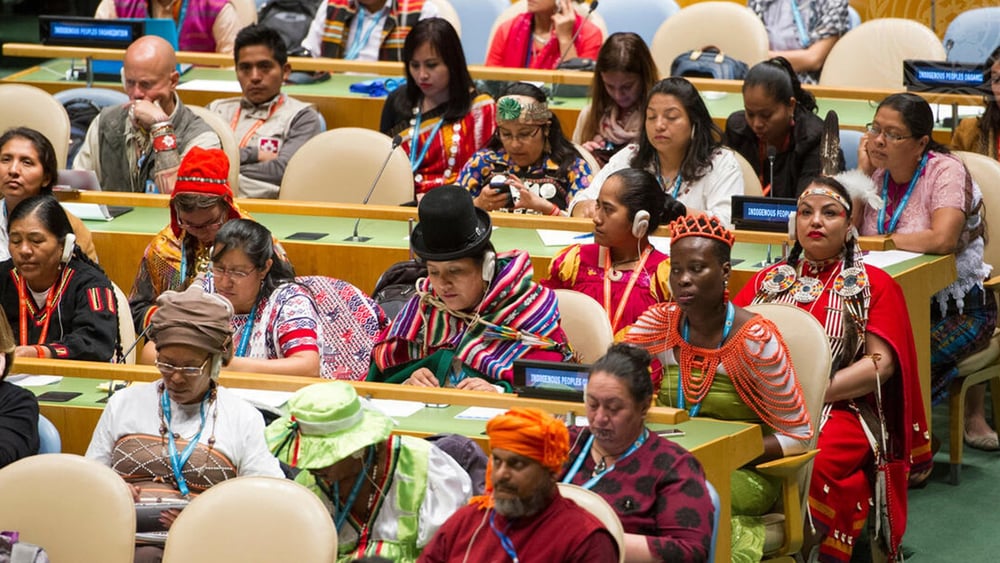 © Rick Bajornas/United Nations Photo