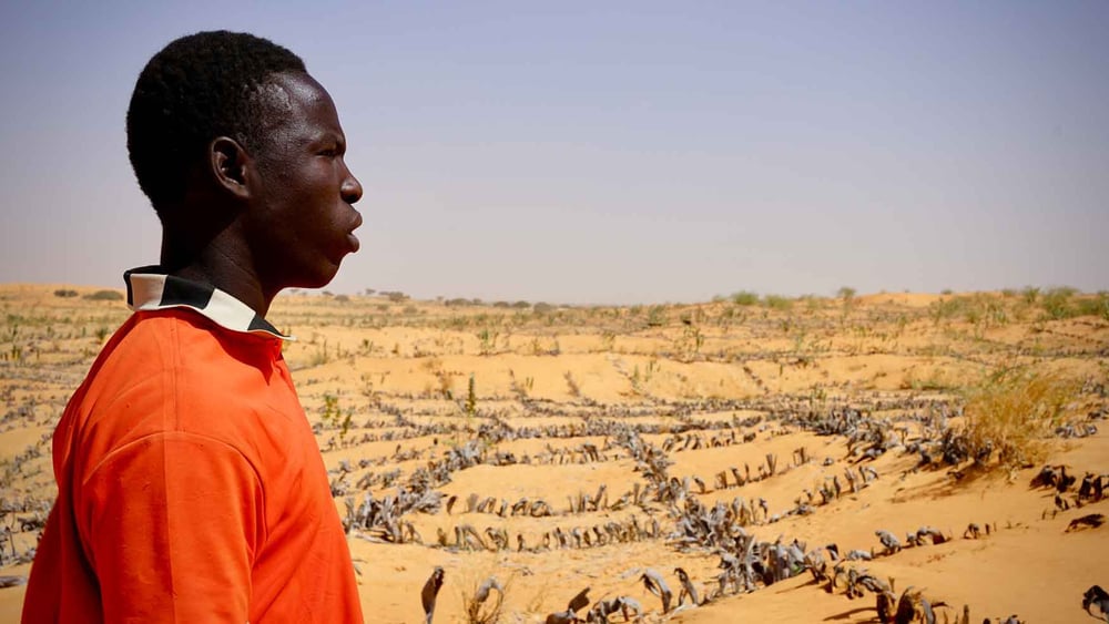 « Certains jeunes dans la région sont tentés de rejoindre Boko Haram ou de partir en exil parce qu’ils n’ont pas de travail. » Adam Aboubacar, habitant de Maïné-Soroa.© Louise Lascouès