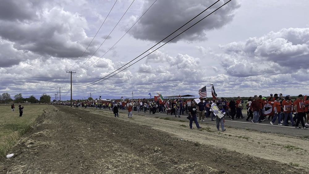 Le secteur agricole qui emploie beaucoup de travailleur·euse·x·s migrant·e·x·s est particulièrement touché par les déportations. En mars, plus de 5000 personnes s’étaient réunies en Californie pour soutenir les ouvrier·ère·x·s immigré·e·x·s menacé·e·x·s d’expulsion. © Arndt Peltner