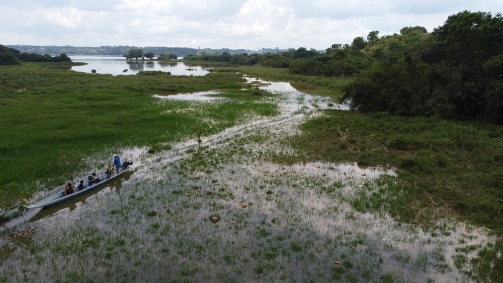 L'organisation environnementale FEDEPESAN œuvre pour la protection des zones humides et des rivières à Barrancabermeja, en Colombie. © Óscar Castaño / Amnesty International