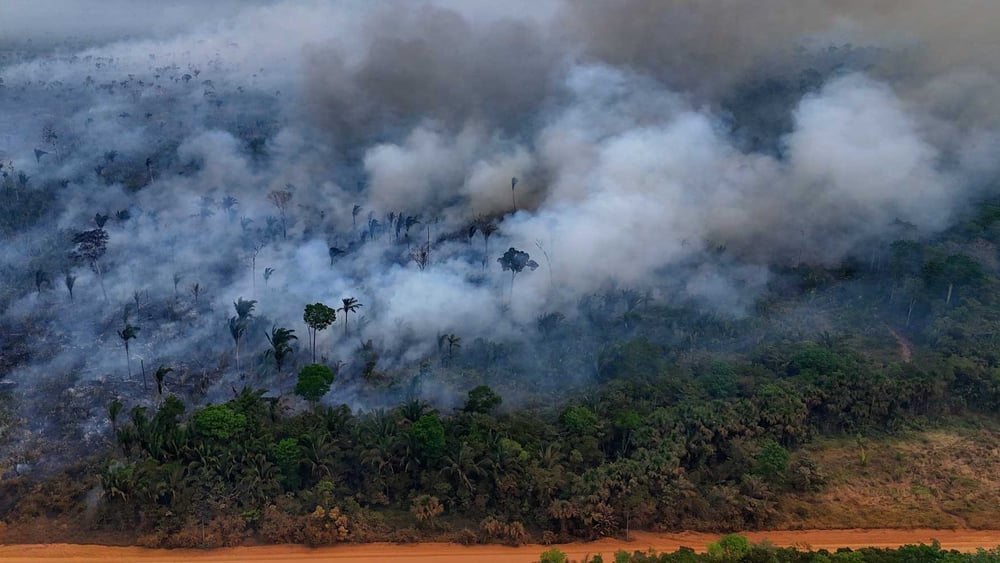 Incendie illégal dans la forêt amazonienne sur les rives de la BR-230 (autoroute Transamazonas), près de la ville de Labrea dans l'État d'Amazonas au nord du Brésil, à l'automne 2024 © Michael Dantas/AFP via Getty Images