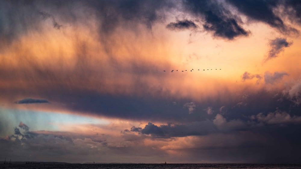 Pas de photo disponible pour cettte Action urgente / Image symbolique «migration» © Pexels