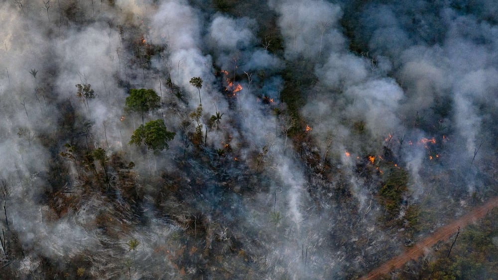 Photo aérienne prise par Amnesty International le 23 août 2019, et qui montre l'incendie de forêt dans une zone indigène de l'État du Mato Grosso. © Marizilda Cruppe/Amnesty International