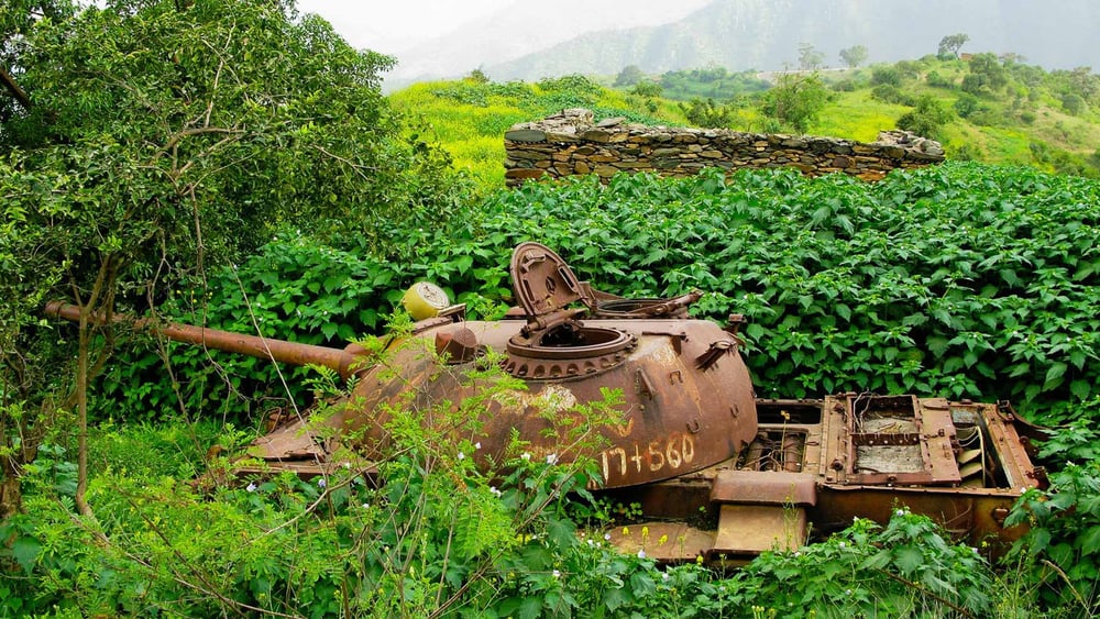 La fin des hostilités avec l'Éthiopie, qui est un moment de réjouissance pour les Érythréens, doit déboucher sur des réformes concrètes apportant une vraie différence dans la vie quotidienne de la population.© shutterstock.com