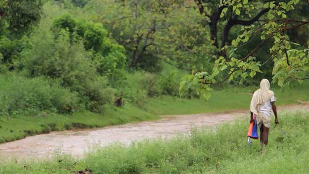 Dans trois mines de Coal India le gouvernement central a acquis des terres sans en informer les familles affectées et sans les consulter sur d’éventuelles mesures de compensation et de réinstallation. © Amnesty International India
