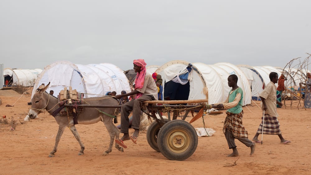 Des réfugiés somaliens arrivés dans le camp de Dadaab en juillet 2011. © UNHCR / B. Bannon