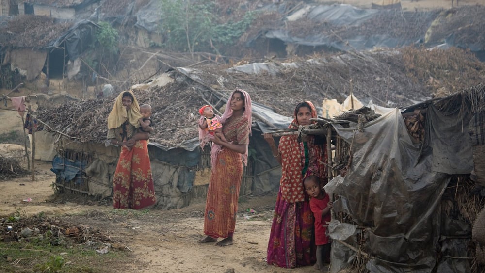 Des milliers de personnes, des Rohingyas pour la plupart, seraient bloquées dans les montagnes du nord de l’État d'Arakan, où l'ONU et les ONG internationales ne peuvent pas évaluer leurs besoins ni leur fournir un abri, de la nourriture et une protection.© UNHCR / S. Kritsanavarin