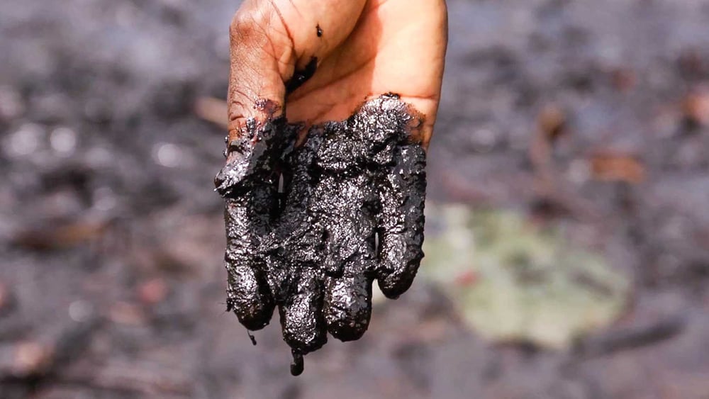 Shell reconnaît que 55 millions de litres de son pétrole ont été déversés dans le delta du Niger, mais le chiffre pourrait être beaucoup plus élevé. © Amnesty International