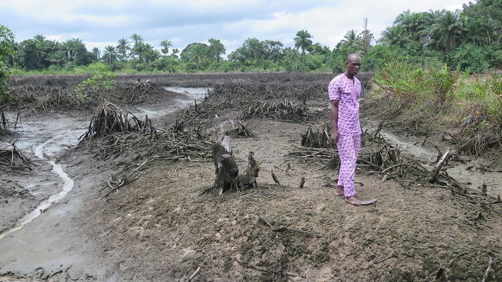 Dans le Delta du Niger, les déversements de pétrole provoquent des effets dévastateurs sur l'environnement. © Amnesty International