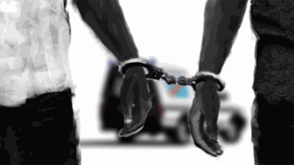 Le 15 mars 2015, Fred Bauma et Yves Makwambala ont été appréhendés par les forces de sécurité lors d’une conférence de presse pour le lancement du programme de Filimbi (sifflet en swahili), un mouvement de jeunesse. © Capture d'écran du film «Il est temps de siffler le Filimbi »