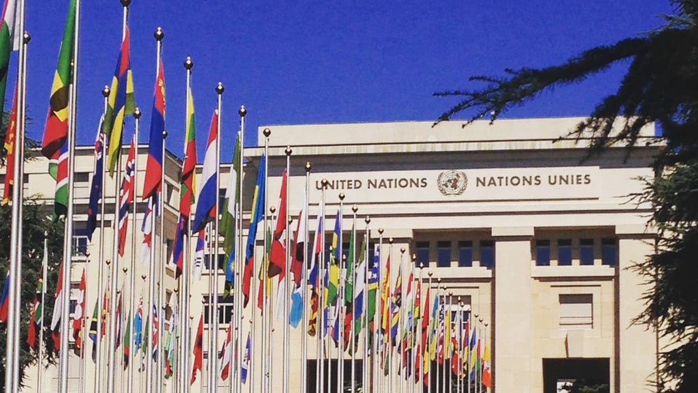 Le Palais des Nations à Genève où siège le Comité des Nations unies contre la torture.  ©UN