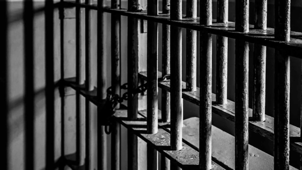 © Dan Henson / shutterstock