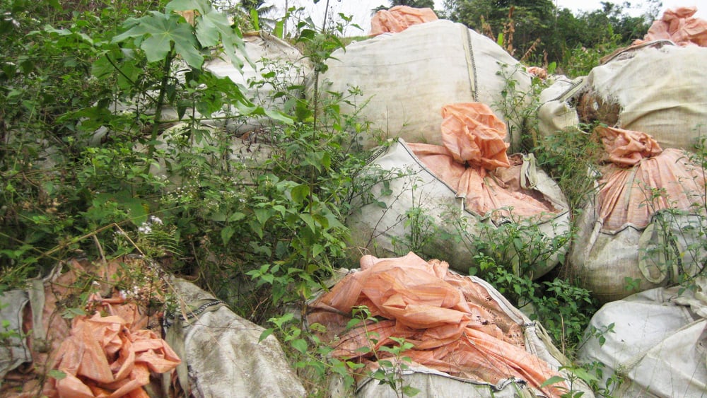 Plusieurs grands sacs en plastique dans les buissons.