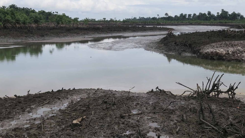 Le delta du Niger: Shell -  ruisseau pollué à Kegbara Dere © Amnesty International