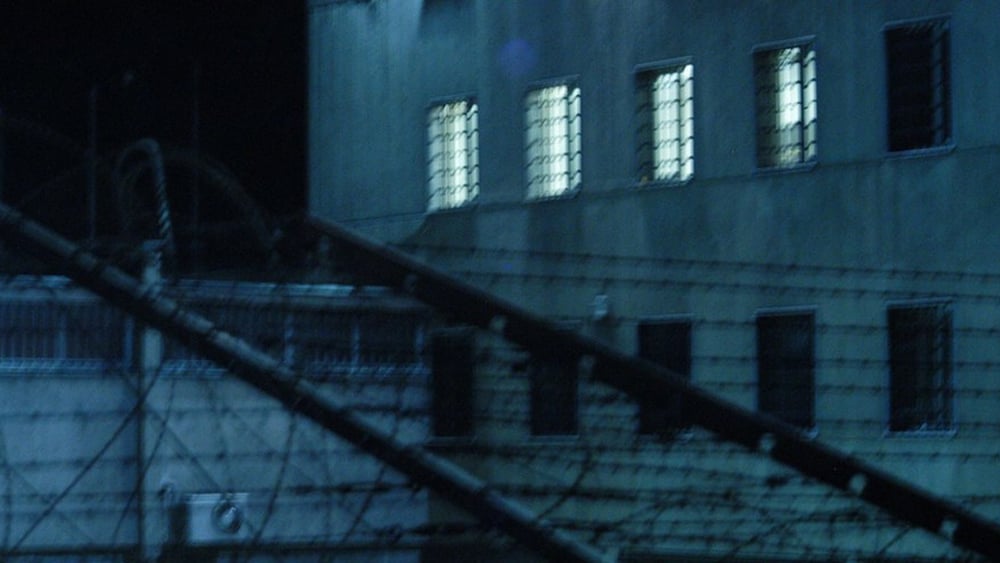 © matefine / shutterstock.com